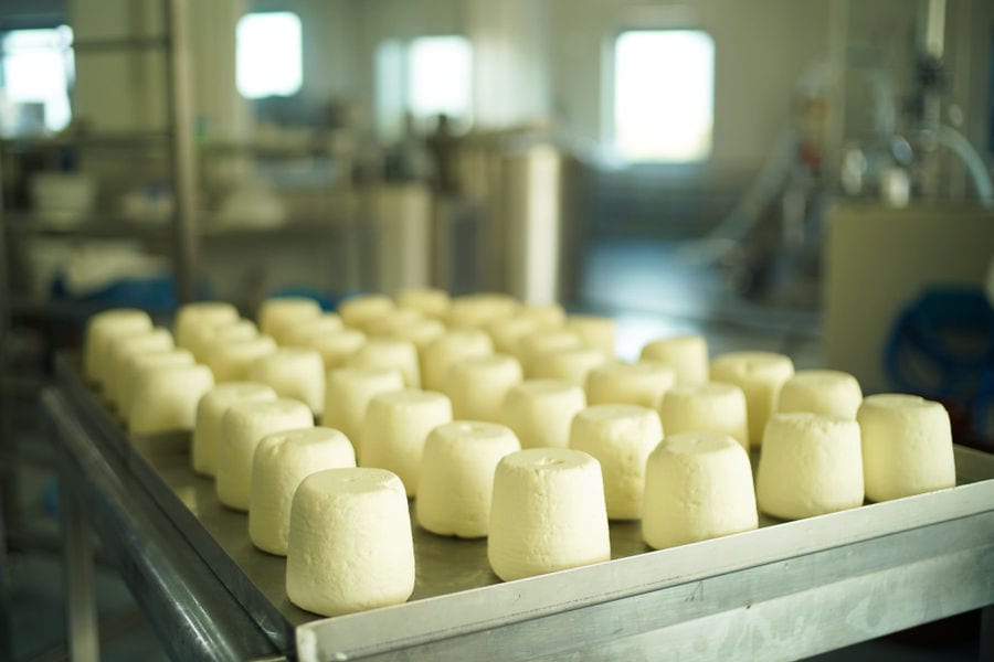 cheese balls on the aluminum table at 'Mykonos Farmers' plant